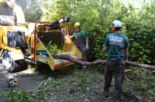 tree services The Meadows